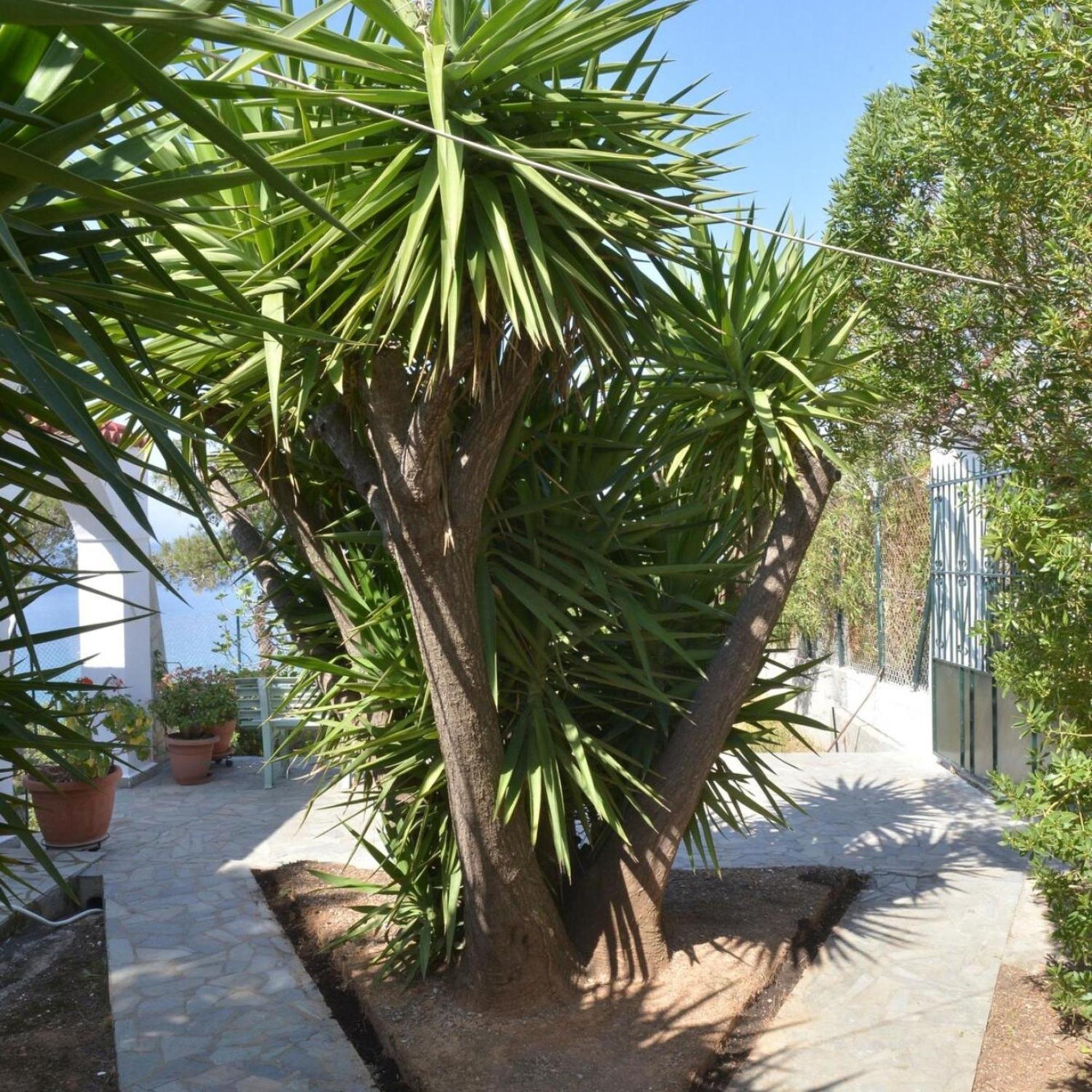 Salamis Beachfront House ภายนอก รูปภาพ